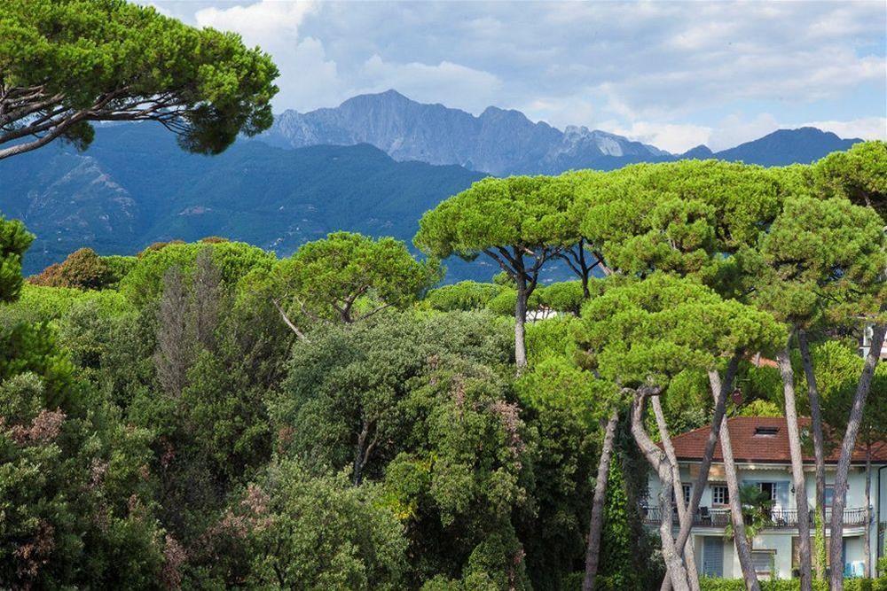 President Hotel Forte dei Marmi Exterior photo